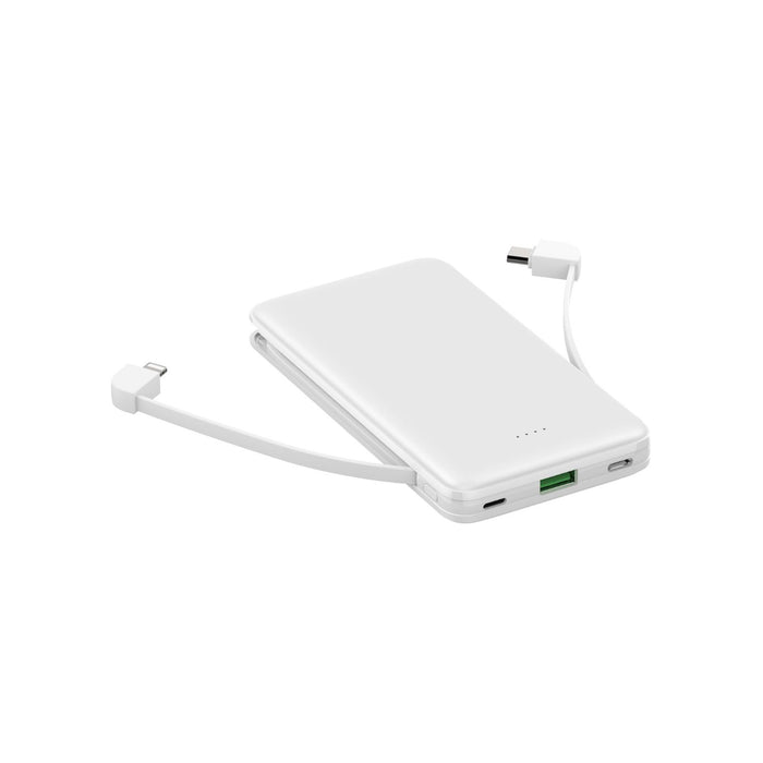 VERO DualCord Power Bank